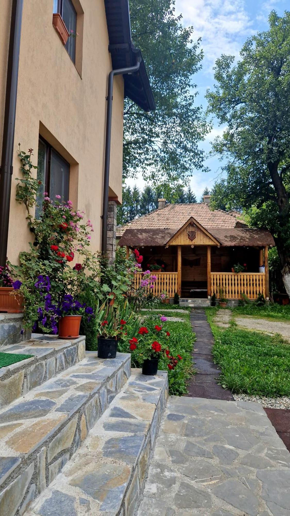 הוילה בראן Casa Dorina מראה חיצוני תמונה